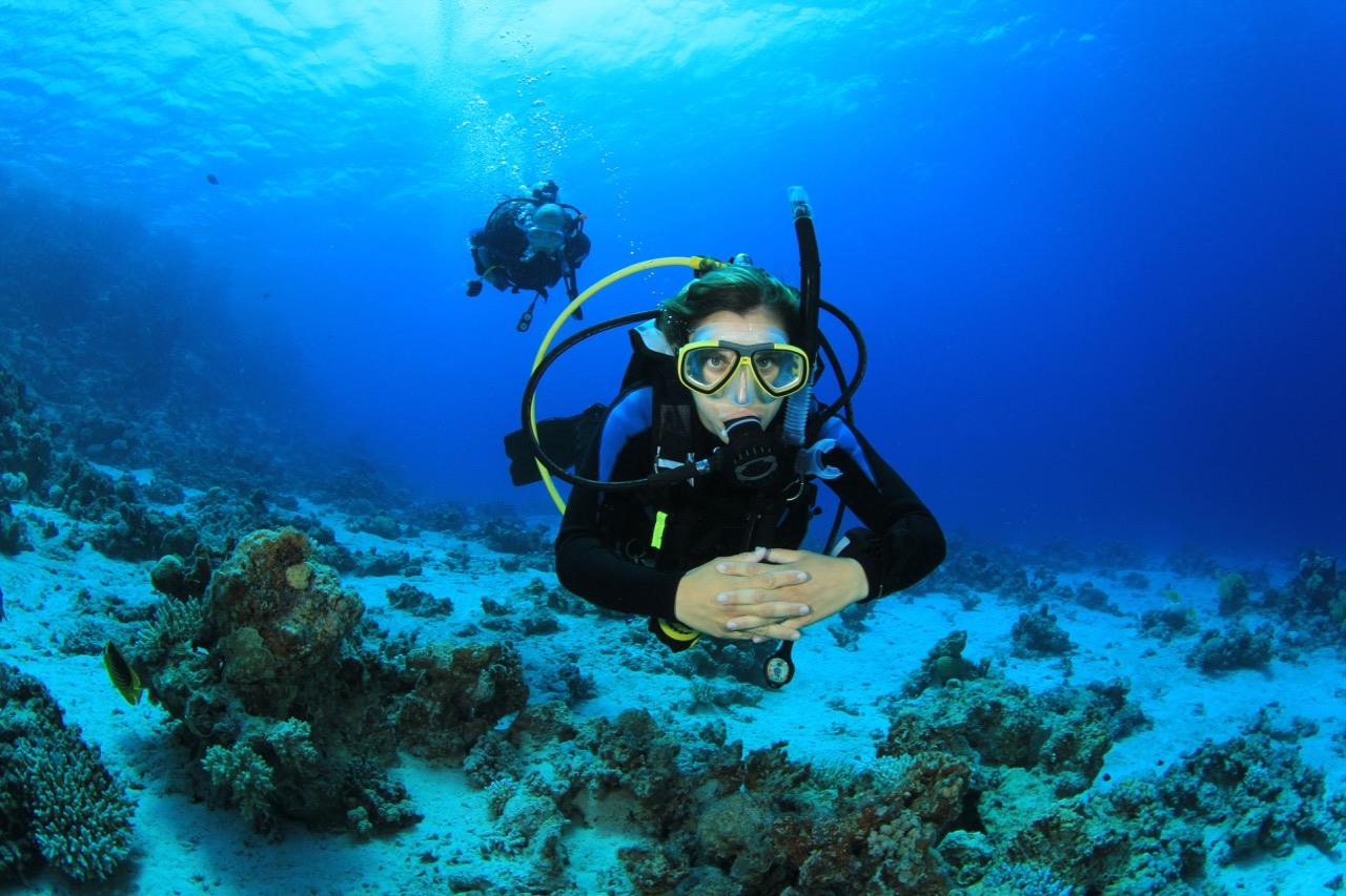 The best company to book diving trips in Hurghada